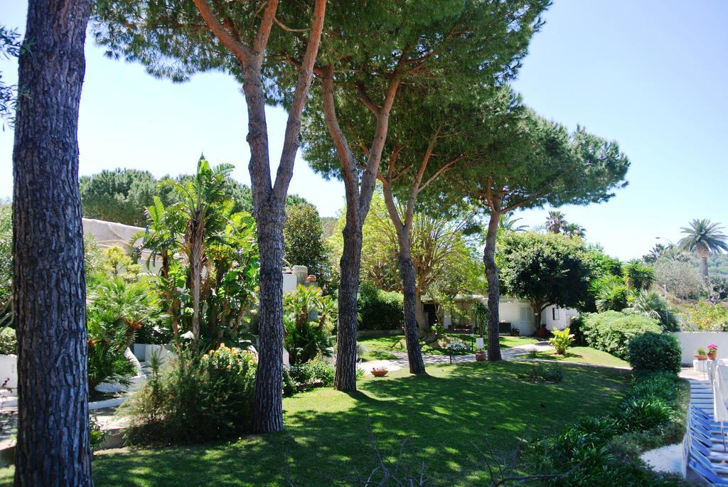 Forio di Ischia Paradiso Terme Resort & Spa Con 5 Piscine Termali מראה חיצוני תמונה
