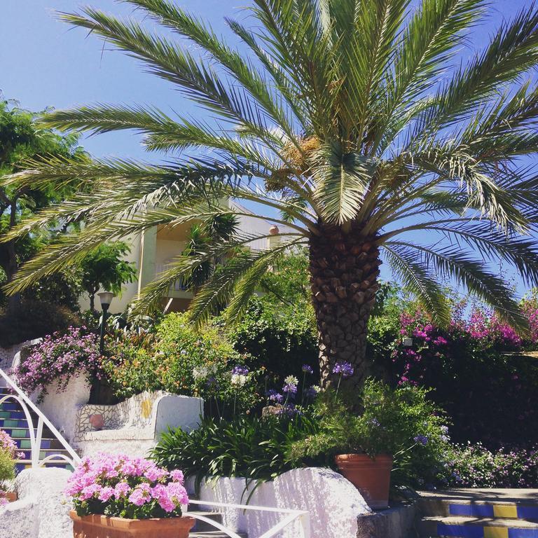 Forio di Ischia Paradiso Terme Resort & Spa Con 5 Piscine Termali מראה חיצוני תמונה